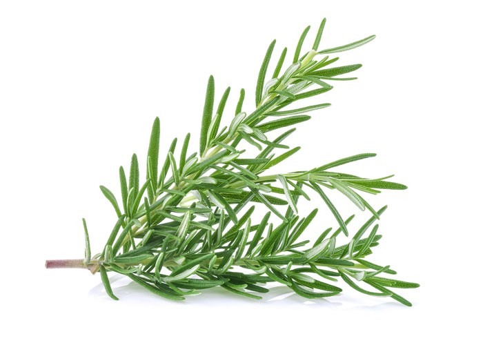 新鲜迷迭香 Fresh Rosemary 10g | WeFresh