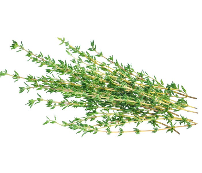 新鲜百里香 Fresh Thyme Leaves 10gm+-