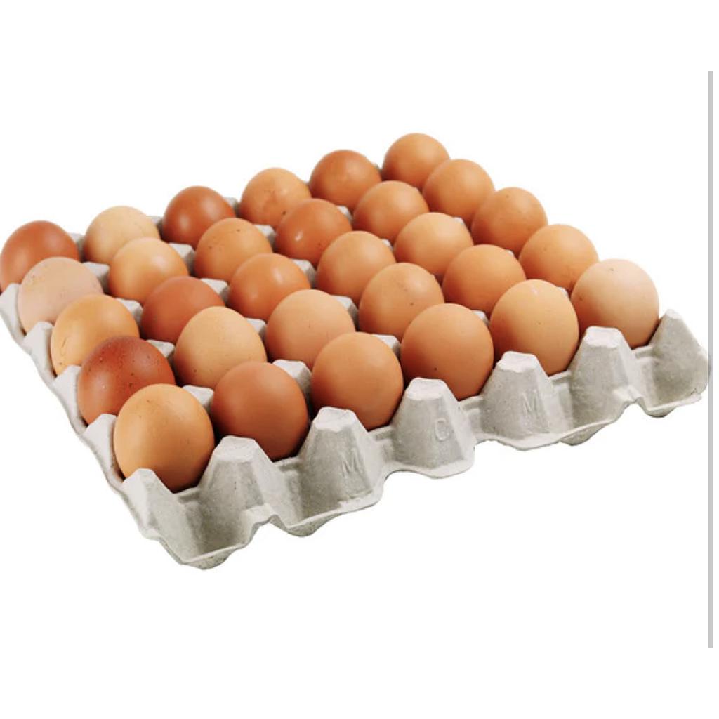 Grade A 鸡蛋30粒（TS Happy Egg)