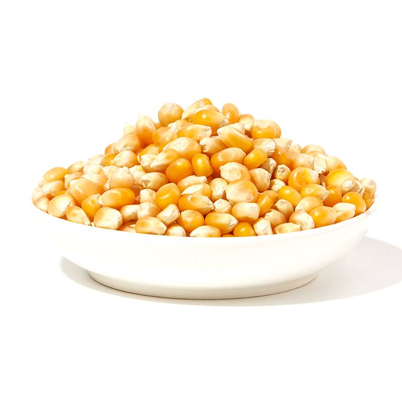 Popcorn 玉米粒 200g