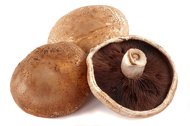 TF PORTOBELLO BBQ MUSHROOM