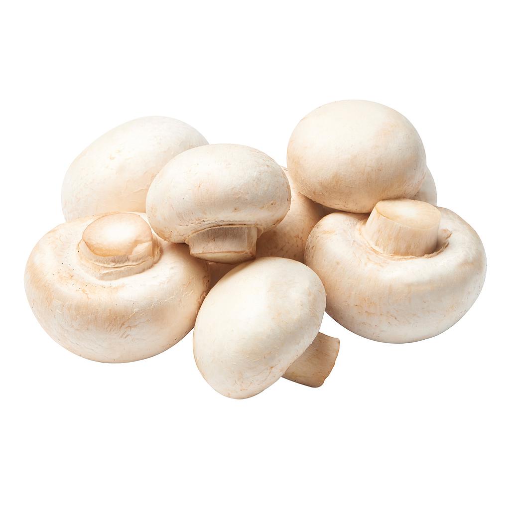 白蘑菇 White Button Mushrooms