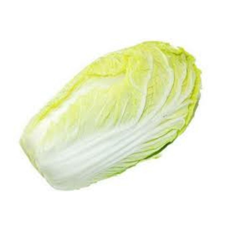 元白(大白菜) ≈1kg