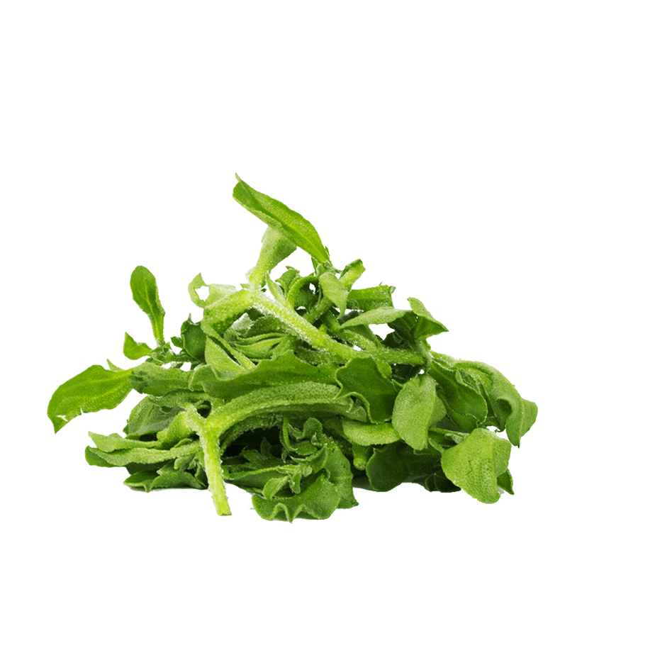 冰菜 Ice Plant Salad 100gm