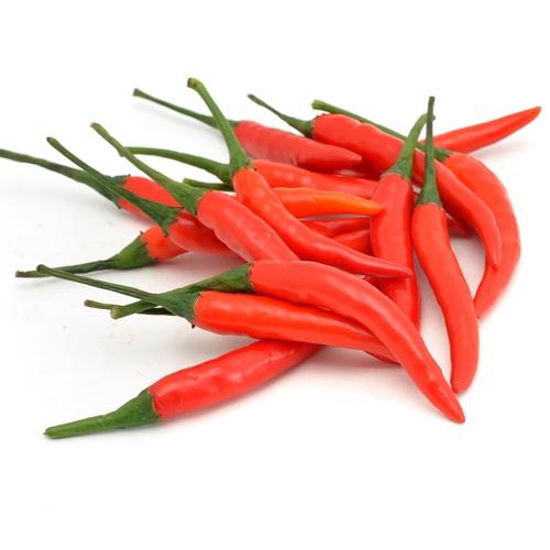 越南小辣椒 Red Chili Padi ≈100g