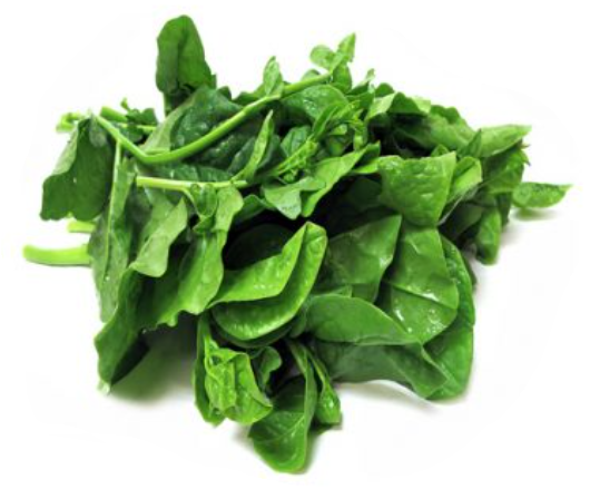 帝王苗 Ceylon Spinach ≈250g