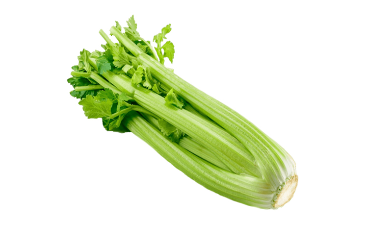 澳洲西芹 ≈1kg+