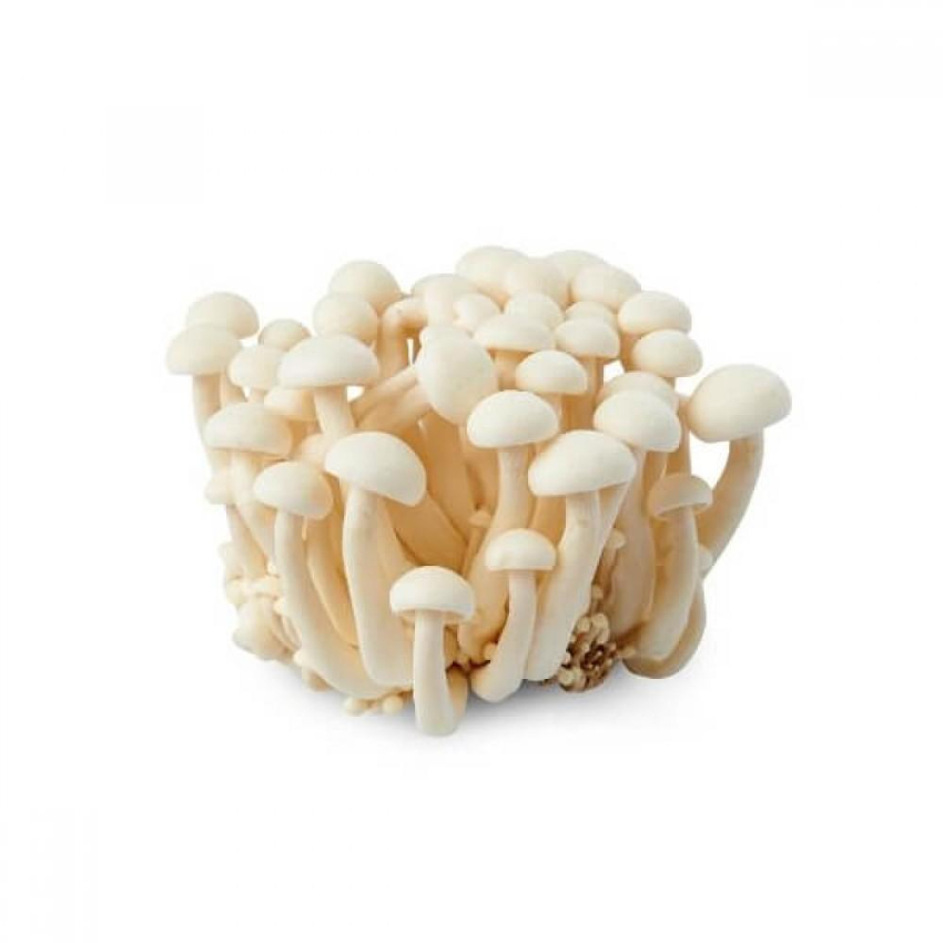 白玉菇 White Shimeji Mushroom 150g