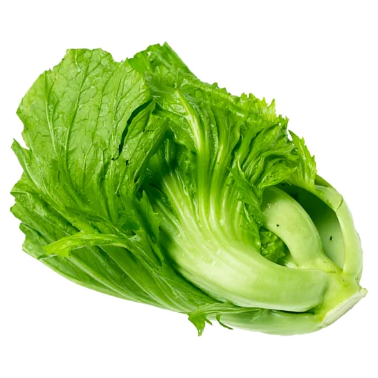 芥菜 500g+-