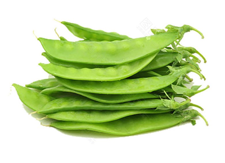 荷兰豆/扁豆 Snow Pea