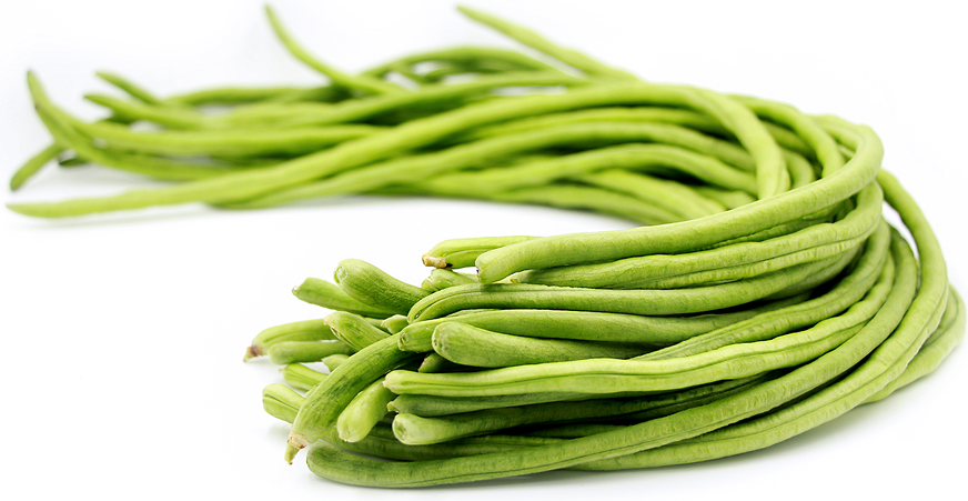 菜豆/长豆 Long Bean ≈250g