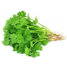 香菜/芫荽 Coriander ≈50g