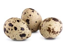 鹌鹑蛋 Quail Eggs2